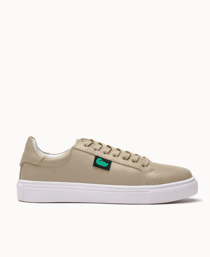 DW0600_LTTPLTTPW060
